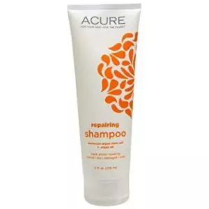 Acure Moroccan Argan Stem Cell Shampoo and Repairing Argan Conditioner