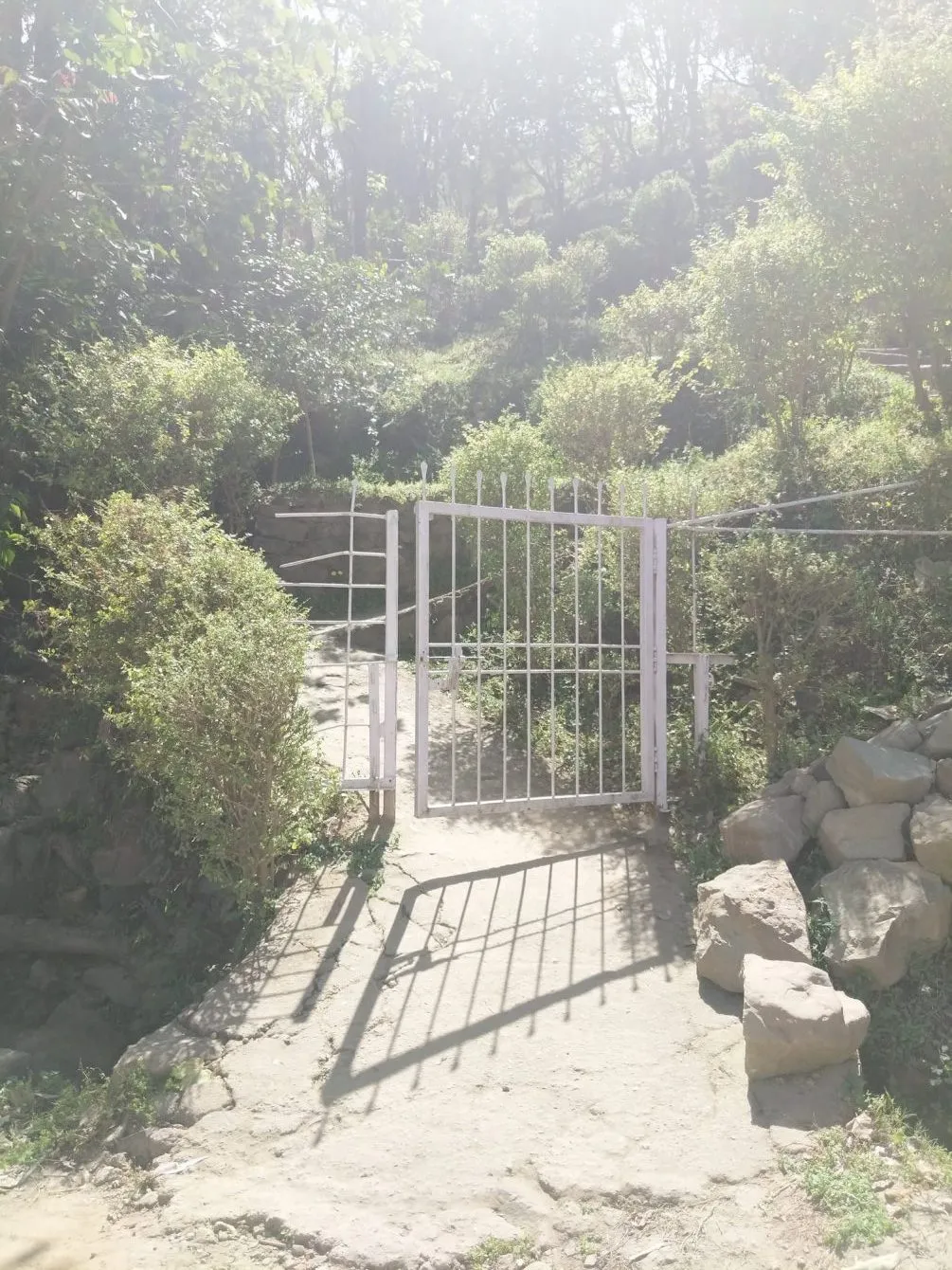 15 Amazing Images We Clicked When Google Maps Left Us Alone In Himachal Pradesh 14 oh yes we found a gate e1557744688540 13