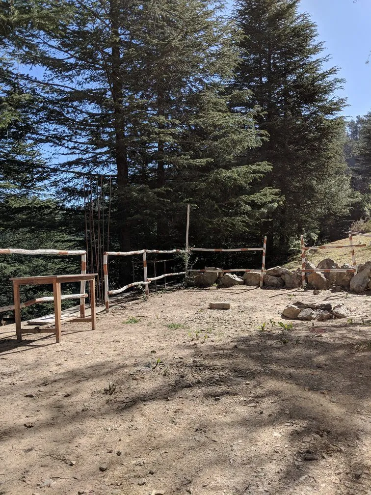 15 Amazing Images We Clicked When Google Maps Left Us Alone In Himachal Pradesh 7 Naldera Himachal Pradesh