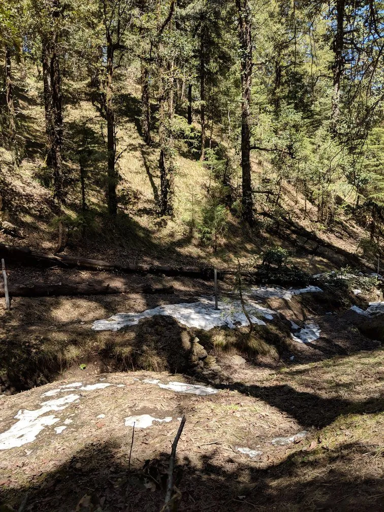15 Amazing Images We Clicked When Google Maps Left Us Alone In Himachal Pradesh 11 himachal pradesh in March