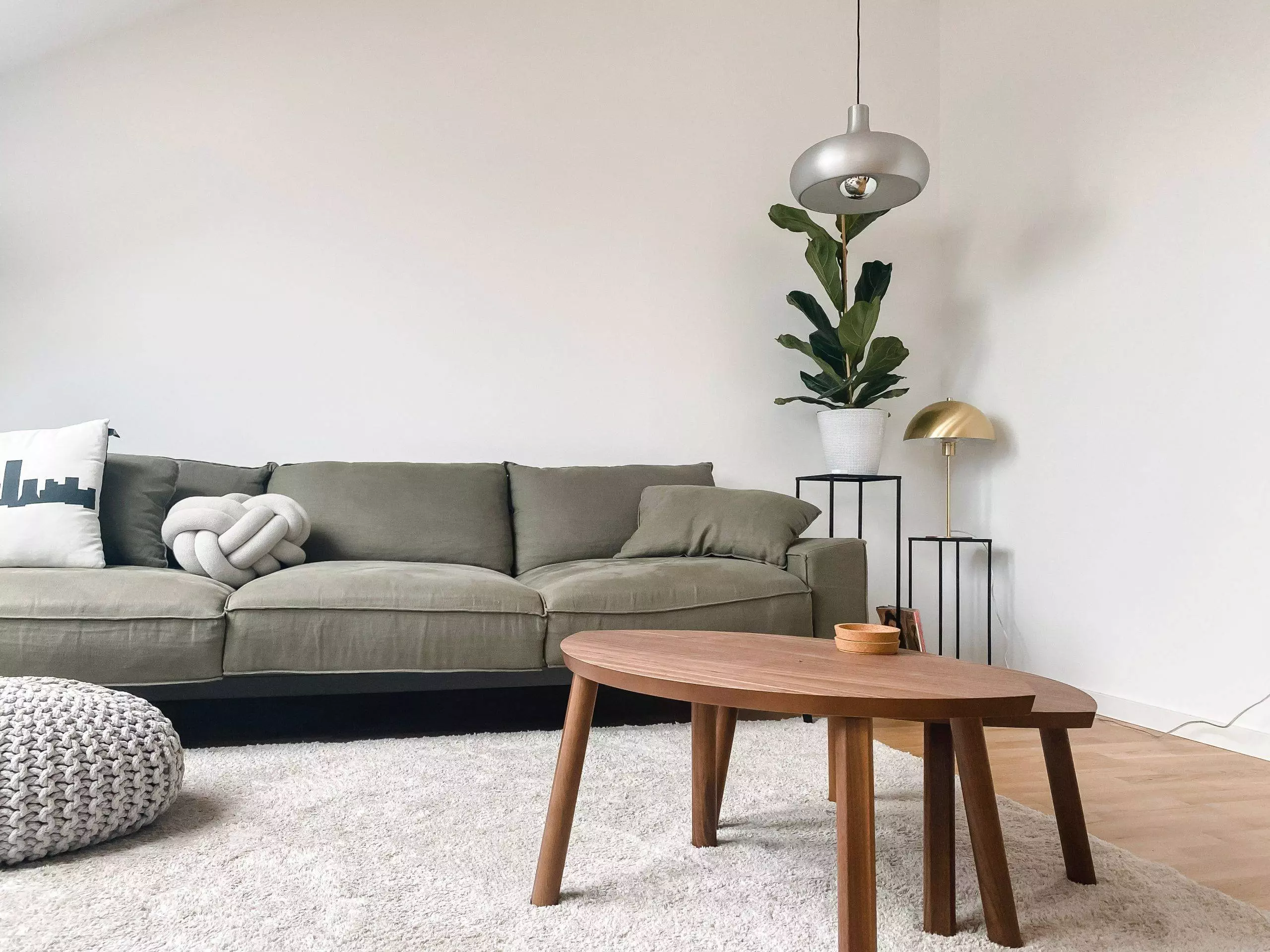 buy a modern sofa
